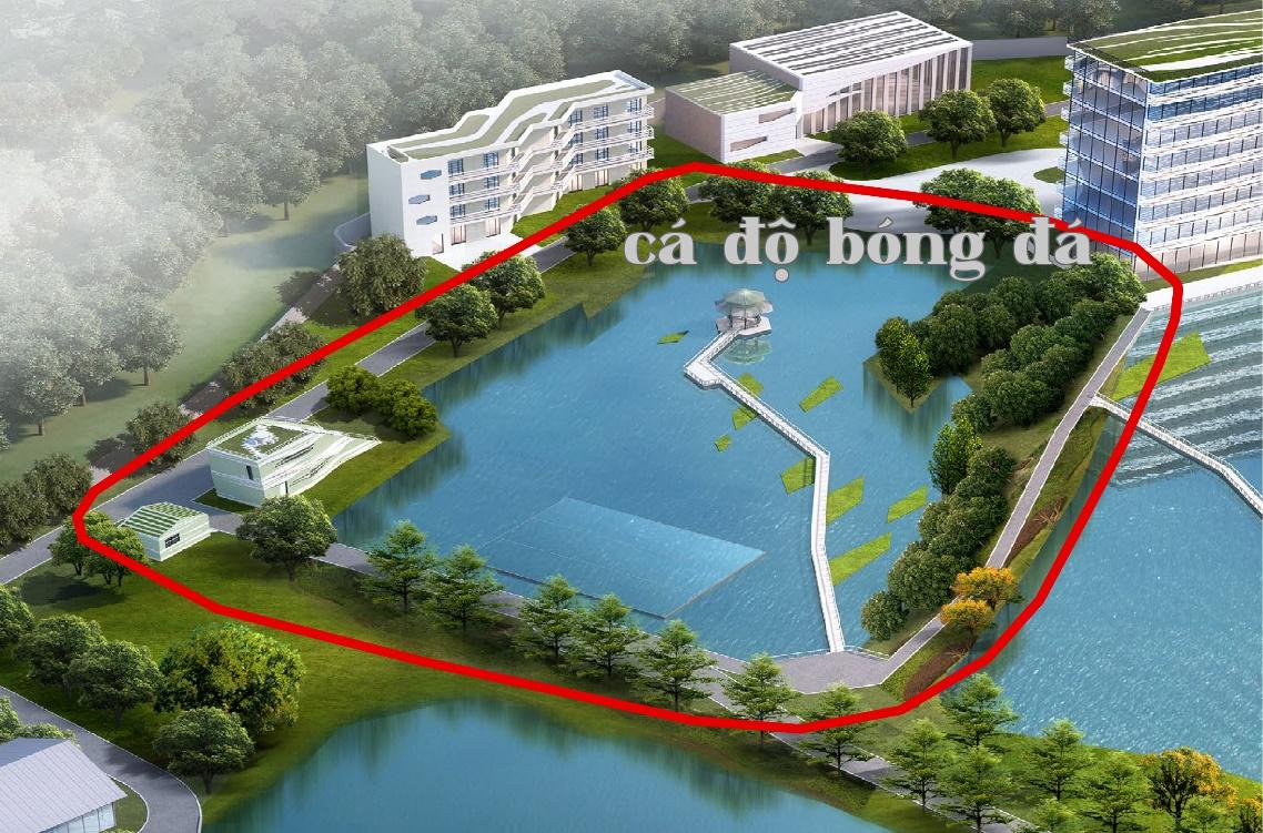 Mô hình nuôi trồng thủy sản mặn tuần hoàn thông minh thân thiện với sinh thái