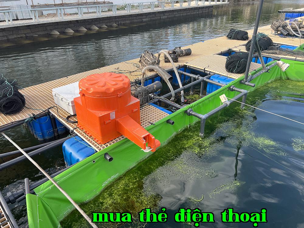 Thiết bị phun nước & cho ăn tự động làm sạch bùn