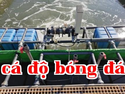 Thiết bị phun nước & cho ăn tự động làm sạch bùn