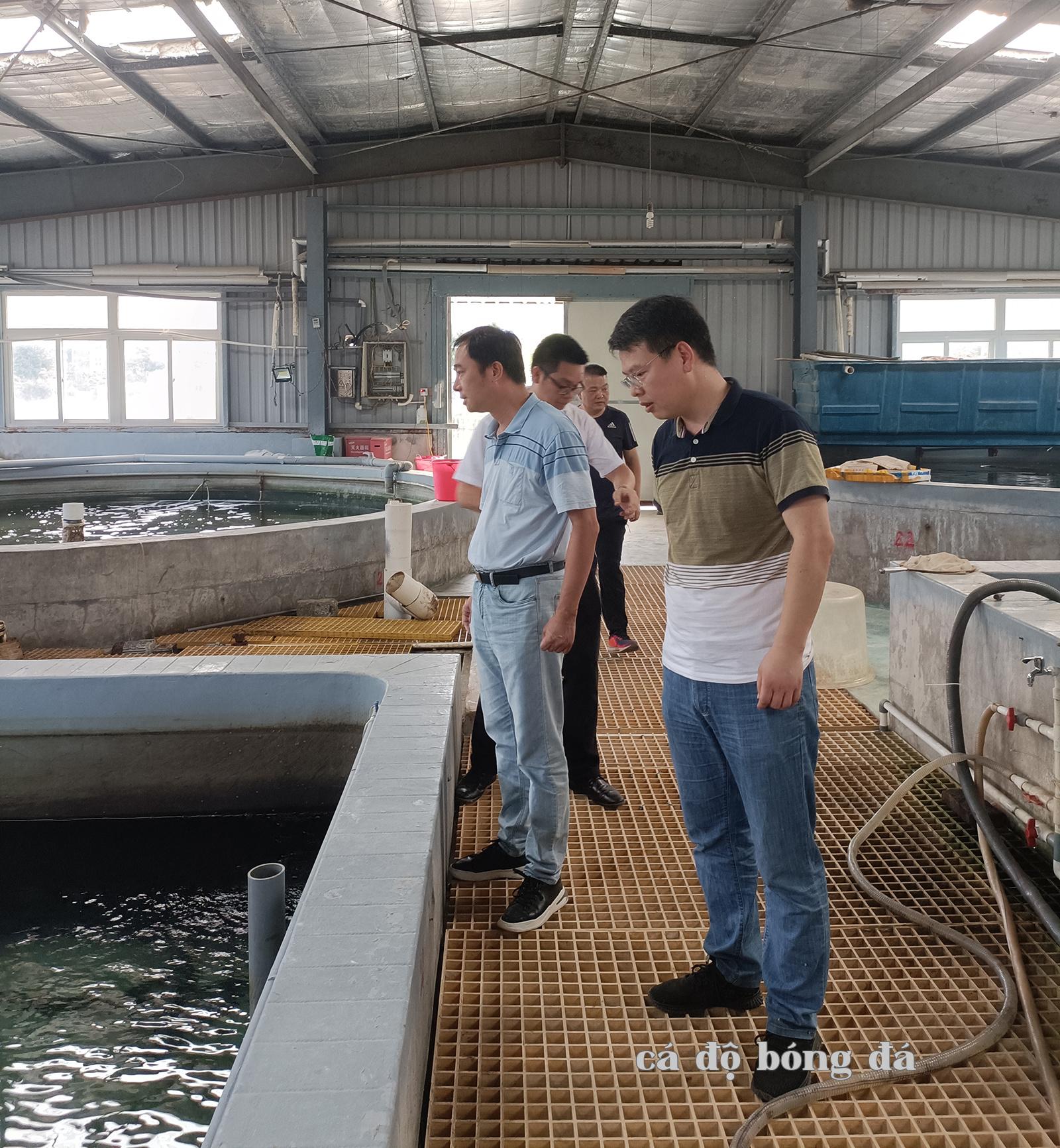 Công ty Công nghệ Xiamen Stratform