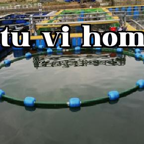 Thiết bị phun nước & cho ăn tự động làm sạch bùn